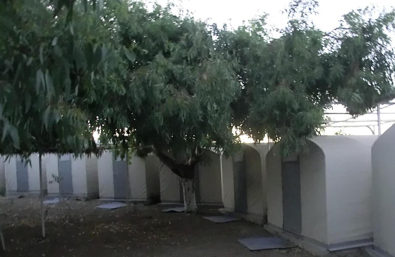 Santorini Camping & Hostel Fira  Bagian luar foto