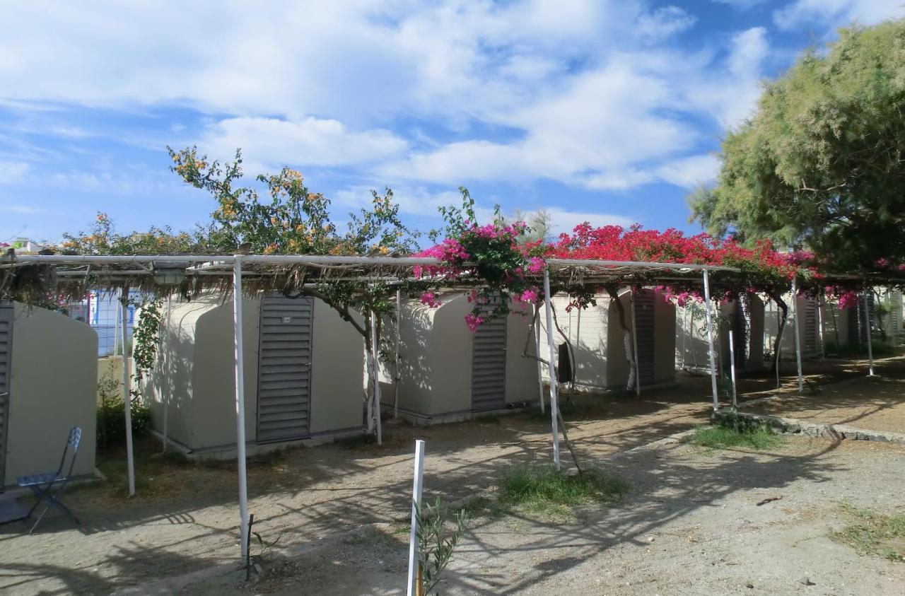 Santorini Camping & Hostel Fira  Bagian luar foto