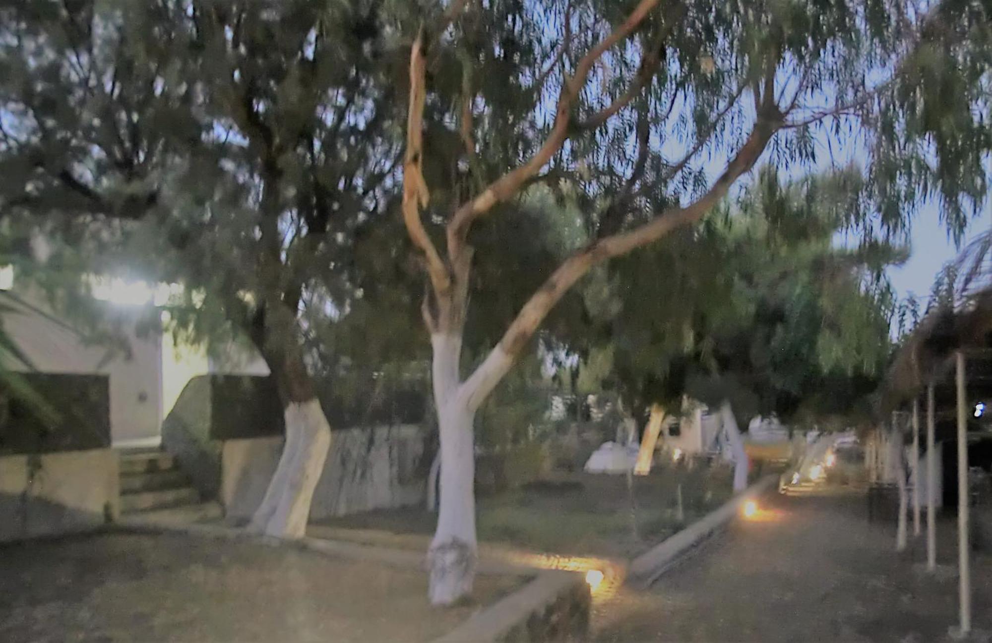 Santorini Camping & Hostel Fira  Bagian luar foto
