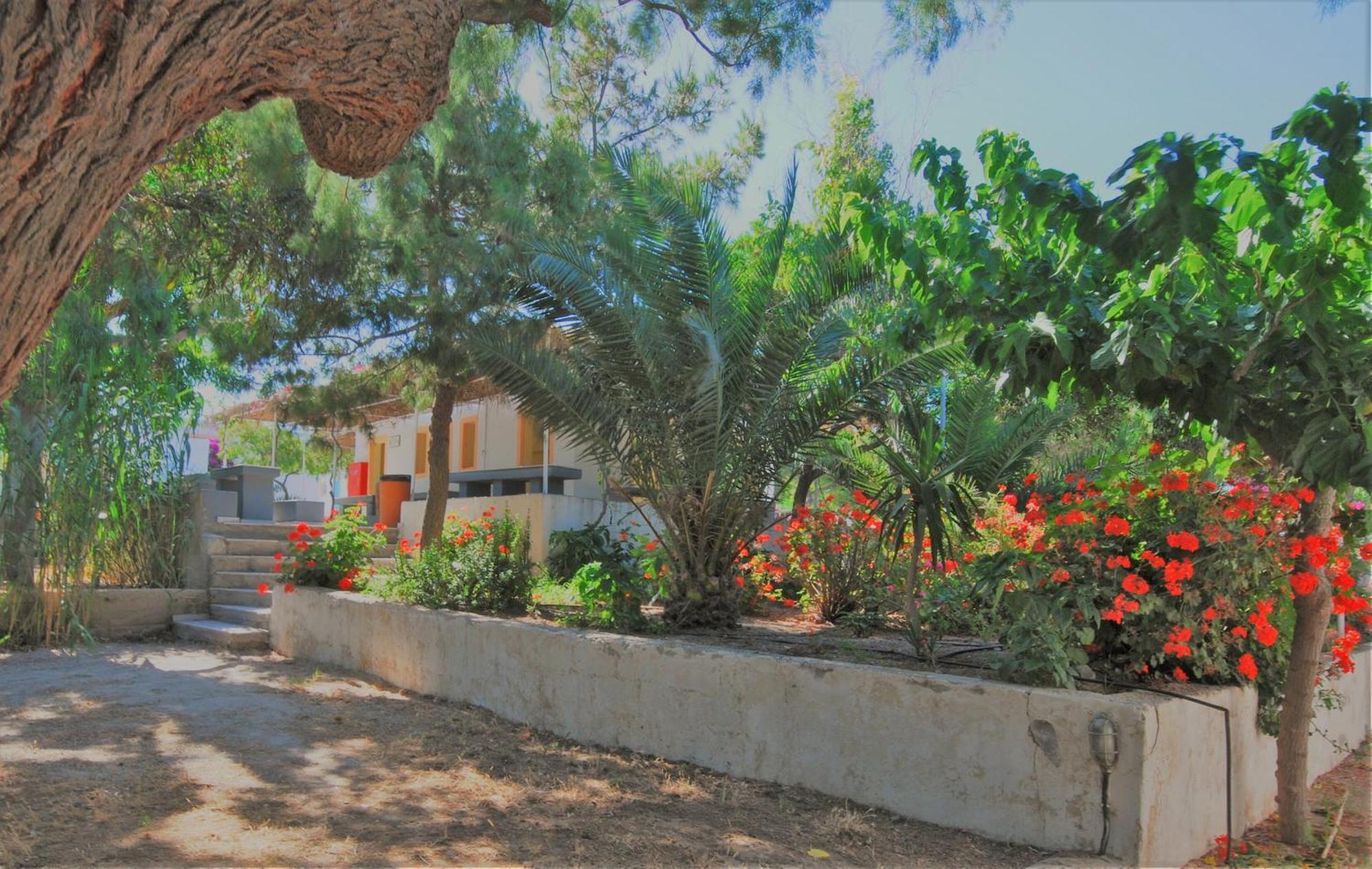 Santorini Camping & Hostel Fira  Bagian luar foto