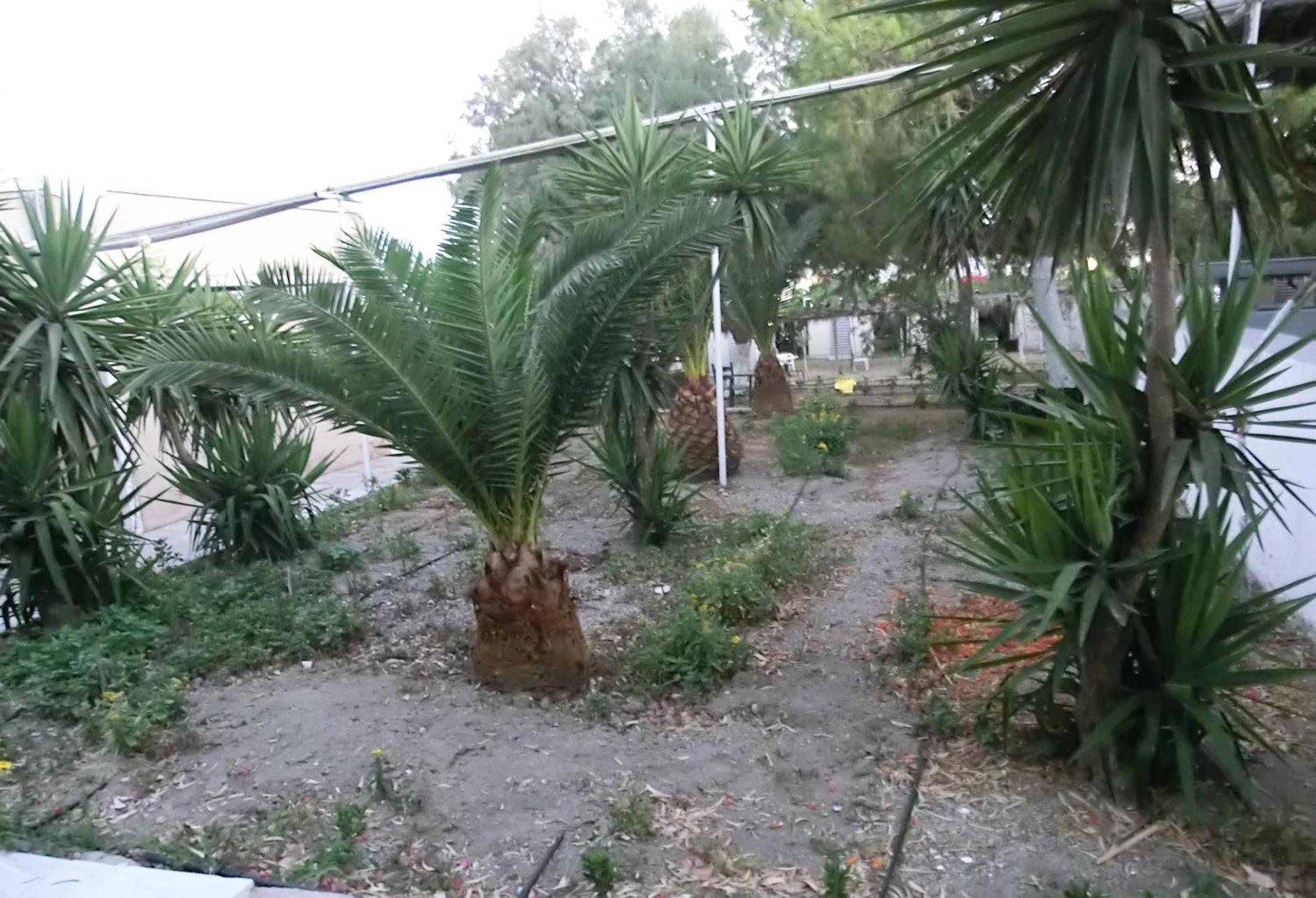 Santorini Camping & Hostel Fira  Bagian luar foto