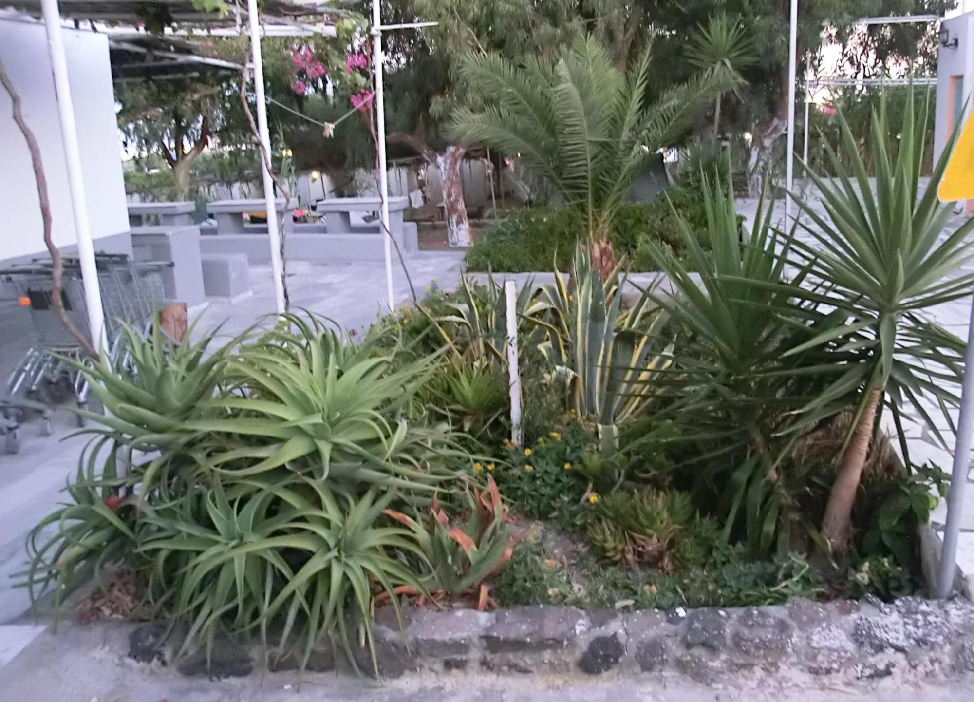 Santorini Camping & Hostel Fira  Bagian luar foto